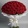 101 Красная роза Блэк Мэджик в Одинцово Букет 101 Красная роза Блэк Мэджик в Одинцово