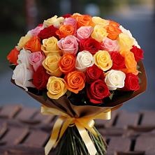 Розы Яркое начало