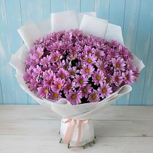 Букет сиреневая охапка #REPLACE_PRED# Одинцово Букет цветов из:  Хризантемы #REPLACE_PRED# Одинцово